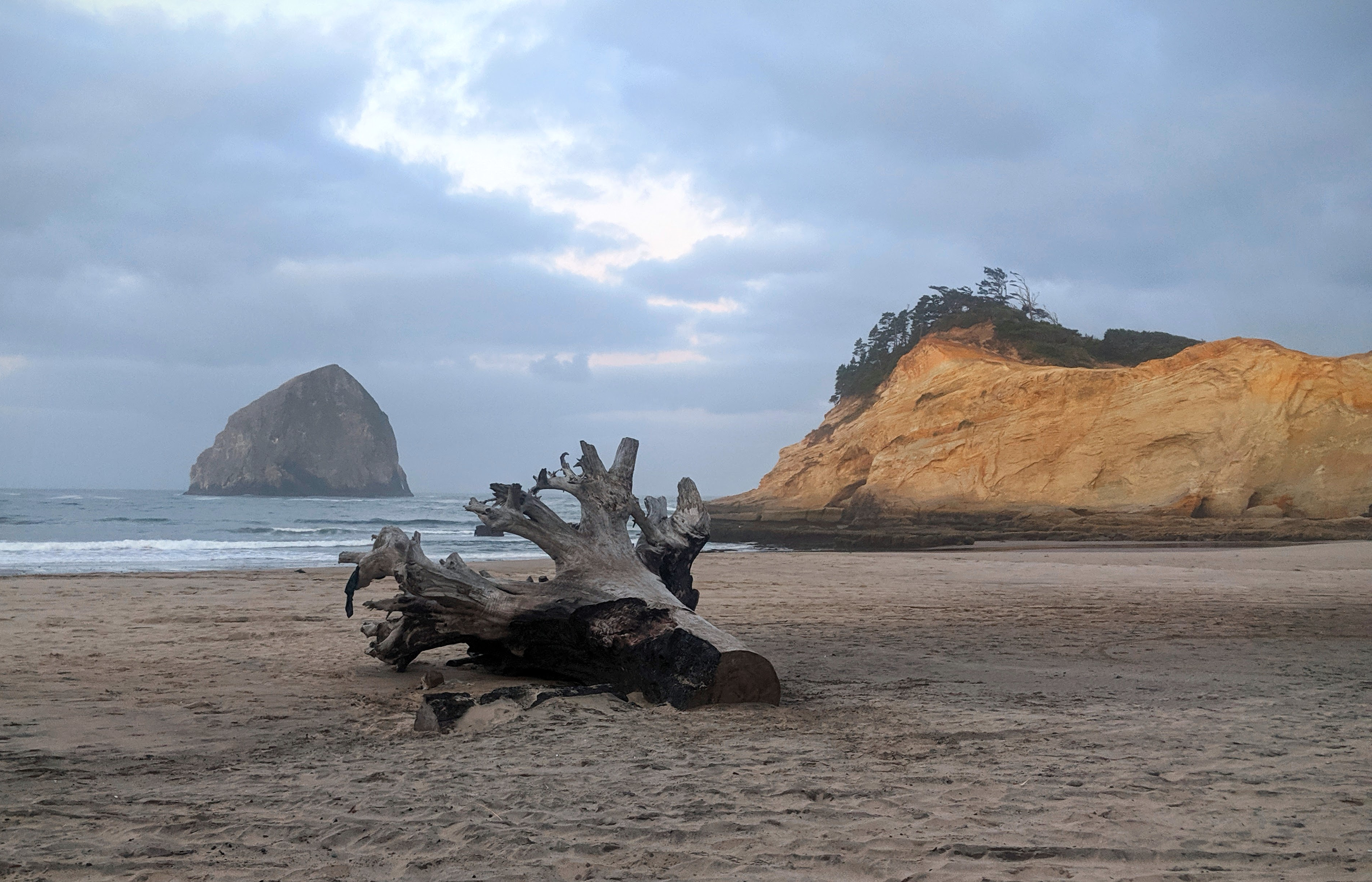 Road Trip to The Oregon Coast